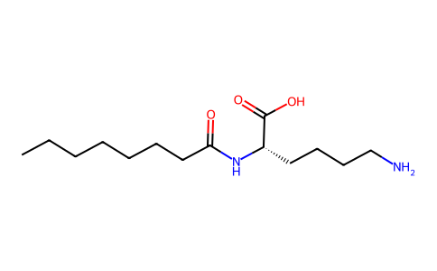 N2-Capryloyl lysine 75383-80-1